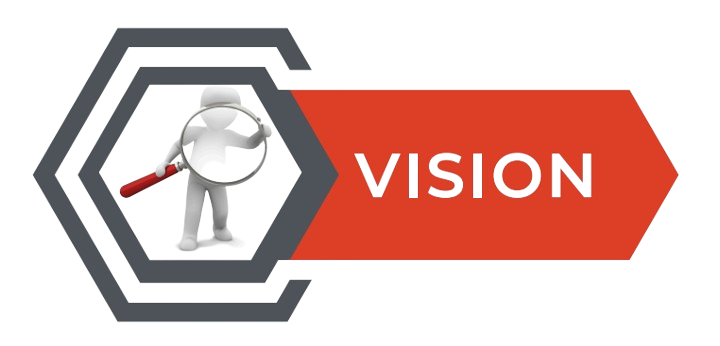 Vision